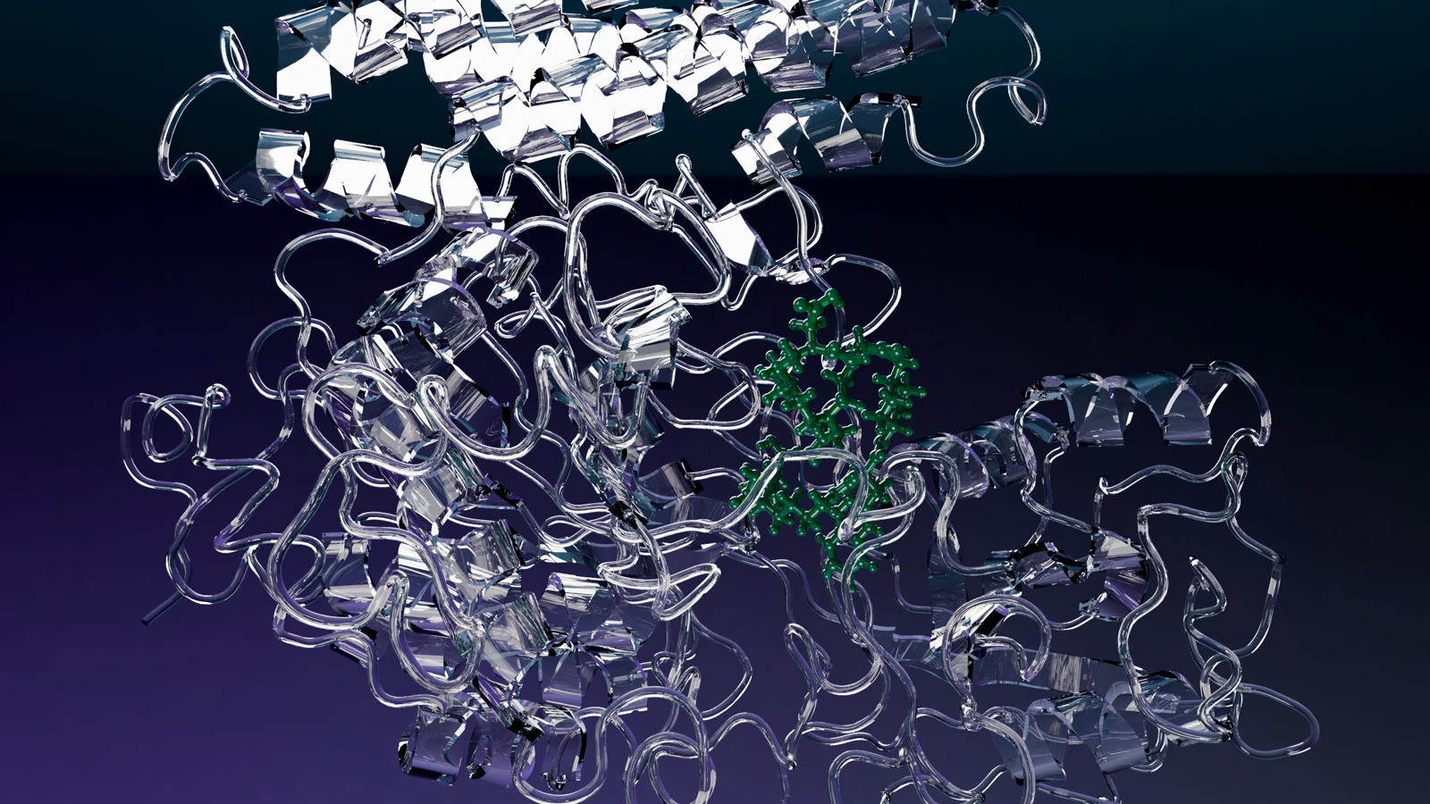 Path-traced render of a protein–peptide binder complex from the Epitorix Studio